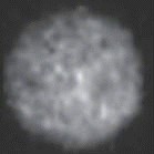 Ceres